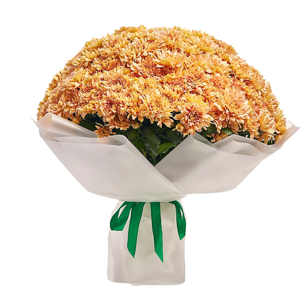 Букет из 51 оранжевой хризантемы